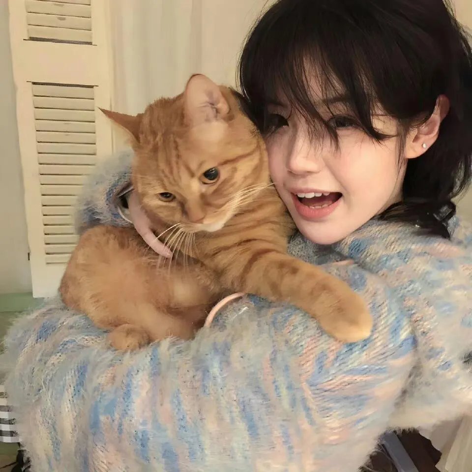 明月几时有国语