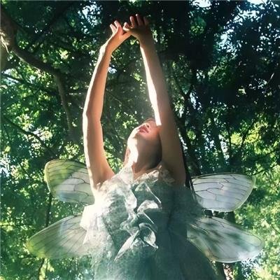 婚礼上白眼狼外甥跪求我原谅